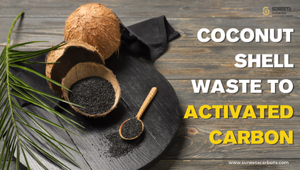 Coconut Shell Activated Carbon